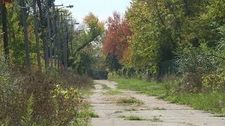 Famous Love Canal lawsuits continue 40 years later Net Worth