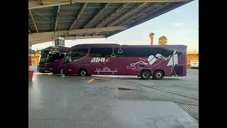 Sonido de motor ADO GL - Irizar i8 Mercedes-Benz by JV Automotriz 1,285 views 10 months ago 11 minutes, 56 seconds