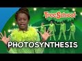 Photosynthesis | Two Little Hands TV | Educational | Kids Songs