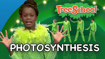 Photosynthesis | Two Little Hands TV | Educational | Kids Songs