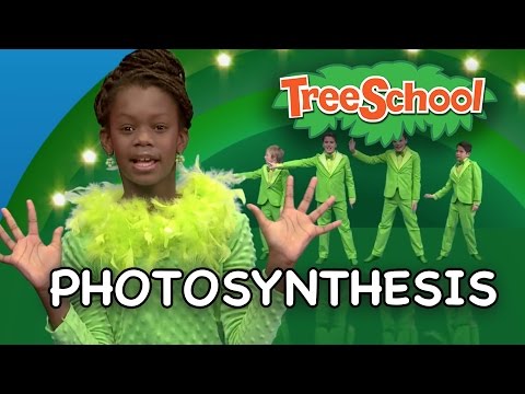 Photosynthesis | Two Little Hands TV | Educational | Kids Songs