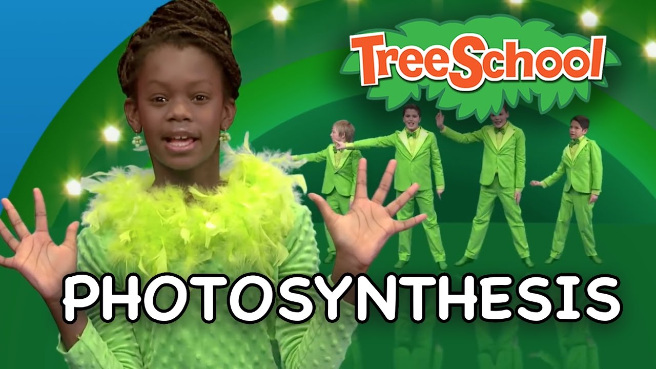 photosynthesis song