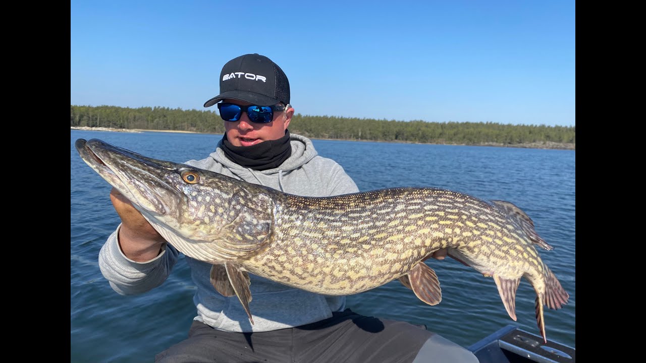 (46) ヤーン・エケネス JAHN Fishing in Sweden THE ANNUAL FISHING HOLIDAY TO SWEDEN - YouTube