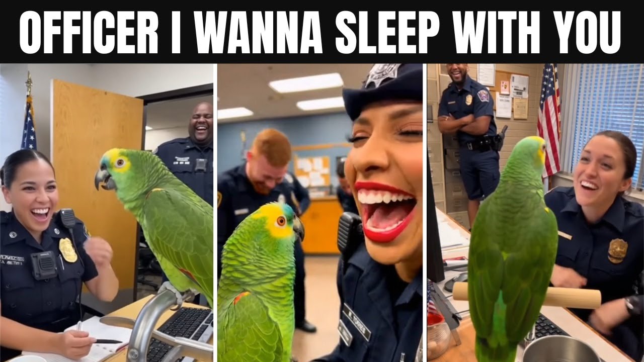 🦜Офицер, я хочу переспать с тобой 😂 | Копы не могут справиться с этим кокетливым попугаем!