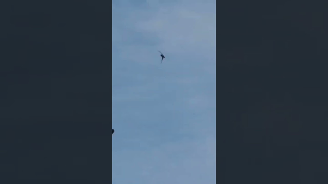 Fatty F4U Corsair Rc plane take off 