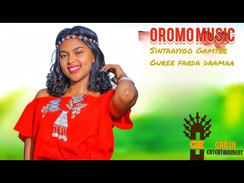 Sintaayyoo Gamtee Guree Farda Daamaa Oromo Music
