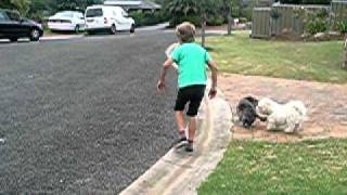 8 year old kid doing a backflip