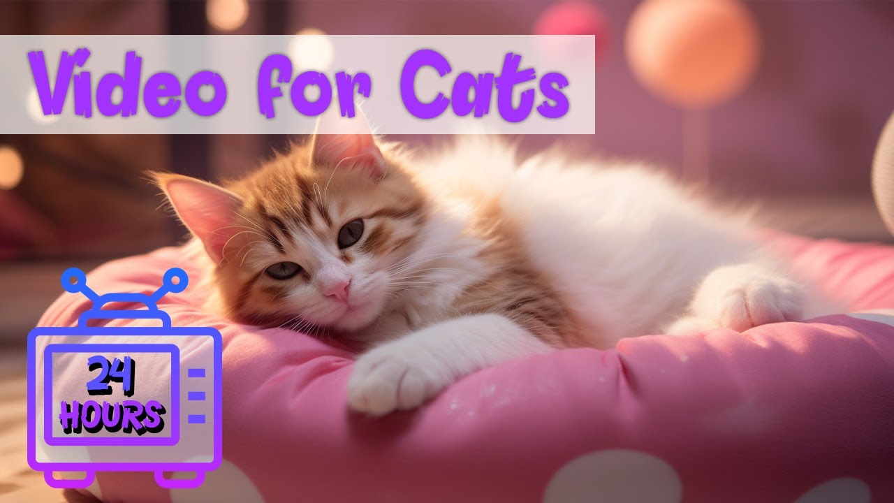 24 HOURS Calming Piano Music for Cats Soothing Your Cat's Anxiety and