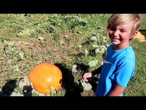 Taking the Family to the Big Stone Pumpkin Patch