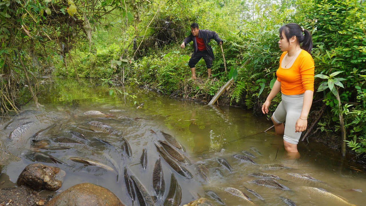 Believe This Fishing - A school of fish in a wild lake for many years ...