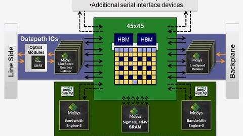 Memories for Extreme Networking
