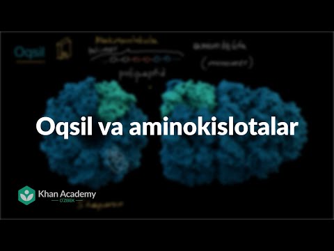 Video: Signal molekulalari oqsillarmi?