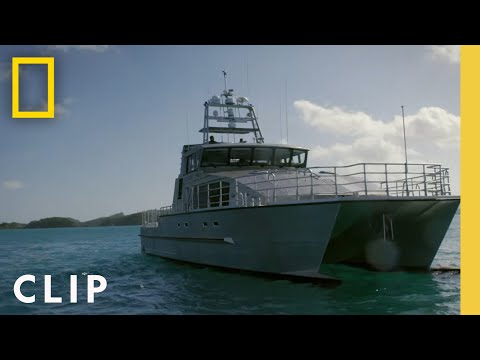 Patrolling the Bay on the New Hawk Five | To Catch a Smuggler: South Pacific | National Geographic
