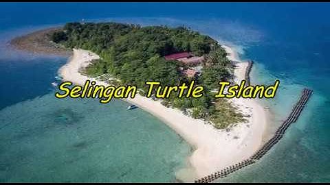 Selingan Turtle Island