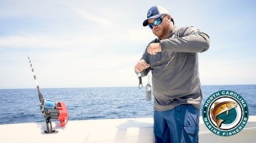 Descending Devices for the Snapper/Grouper Fishery