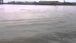 Flatacraft force gt3 mariner 30hp outboard