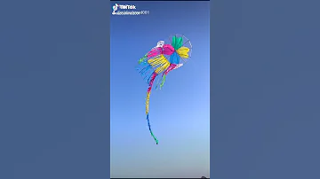 اجمل طيارة ورق ممكن تشوفها 