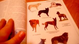 видео Книги о породах