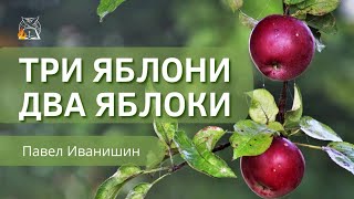 Три яблони и два яблоки | Павел Иванишин || Праздник Жатвы в Манитобе, Канада: Steinbach MB