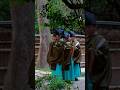 Himuro Opening Ceremony at Shimogamo Shrine | Kyoto’s Ancient Ice Ritual ❄️⛩️🇯🇵