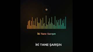 İki Tane Sarışın