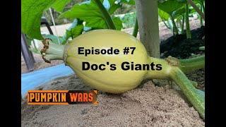 Episode #7 Doc's Giant Pumpkin Patch 2022