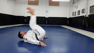 Exercicios especificos de jiu jitsu para fazer sozinho