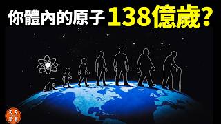 138億年前的一顆原子，如何變成了“你”？生命究竟從哪裡來？| 《整體性與隱纏序》