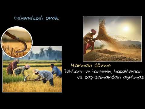 Weed Control (Science) thumbnail