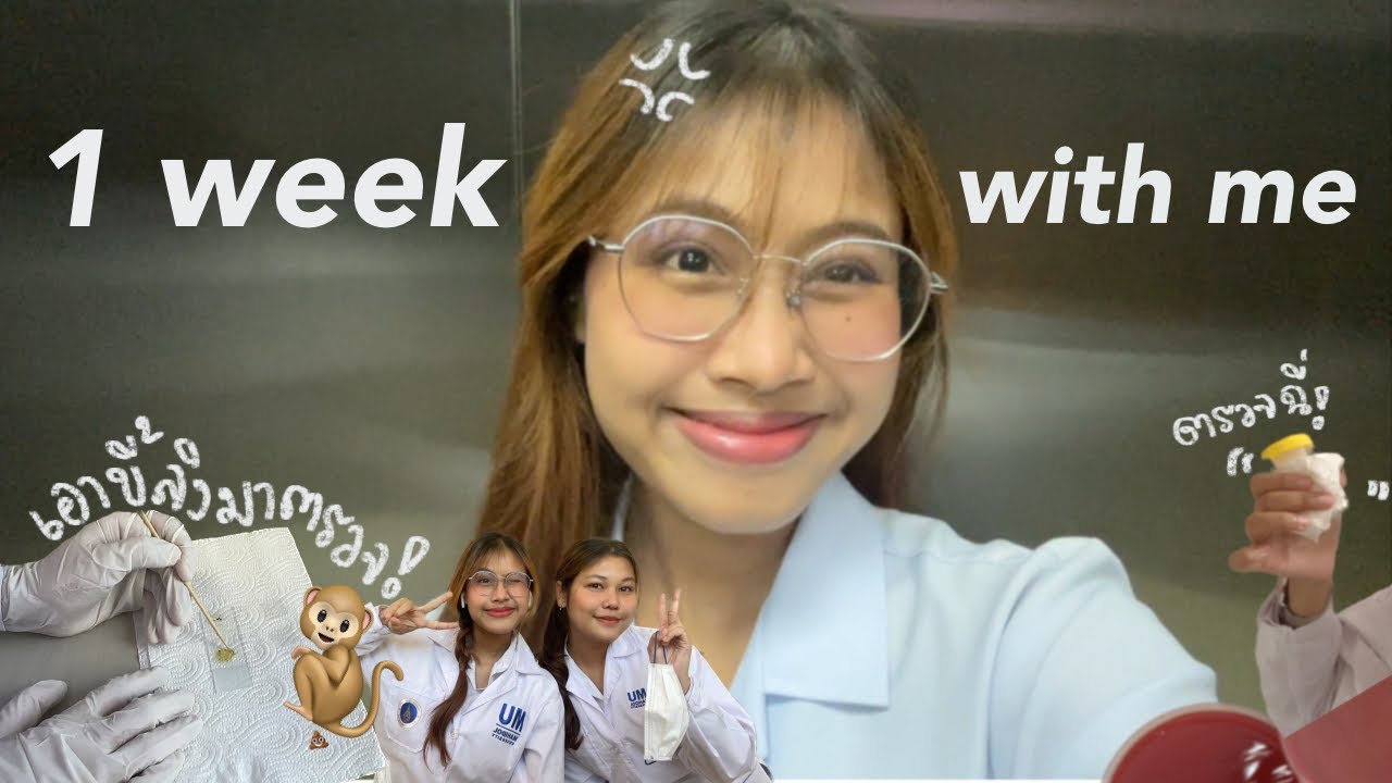 1 สัปดาห์กับเด็กวิทย์แพทย์มหิดลปี2 |ตรวจขี้ลิง, ตรวจฉี่ตัวเอง!! | Lemon Biscuits