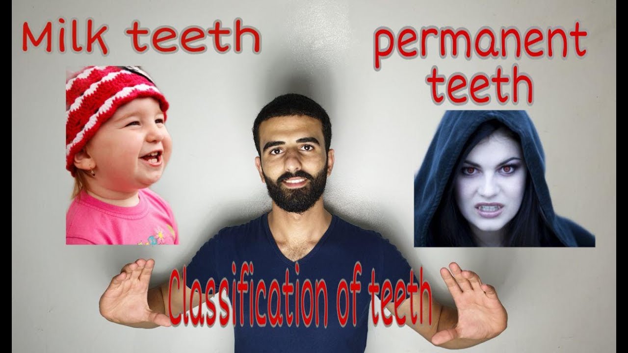 دينتال اناتومي- الجزء الثاني ( Classification of teeth & permanent and deciduous teeth )