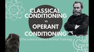 Classical conditioning vs Operant conditioning - the science behind animal training