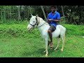 Praveen Machan I Bought A White Horse | ഞാൻ ഒരു വെള്ളക്കുതിരയെ വാങ്ങിച്ചപ്പോൾ | M4 TECH |