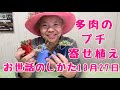 多肉植物ぷち寄せ植えお世話のしかた各務原市川島ライフデザインセンターワークショップご参加ありがとうございます