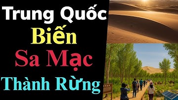 Trung Quốc Biến Sa Mạc Thành Rừng: Dự Án Phủ Xanh Taklamakan Khiến Cả Thế Giới Kinh Ngạc!