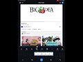 Big Idea, Inc. reversed