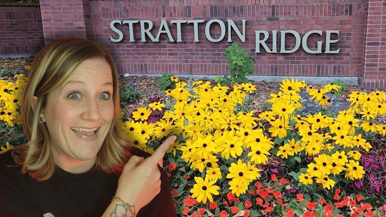 Stratton Ridge Highlands Ranch Colorado, A Neighborhood Tour!