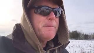 How to Farrow  Mangalitsa Hogs in the Winter - A Farmers Life