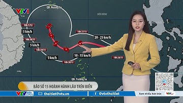 Dự báo thời tiết 12h30 - 26/11/2025 | Bão số 15 hoành hành lâu trên biển | VTVWDB