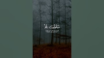 ياسر الدوسري - سورة المؤمنون #الحمدلله #allah #allahuakbar #quran #قرآن #لا_اله_الا_الله #مكة