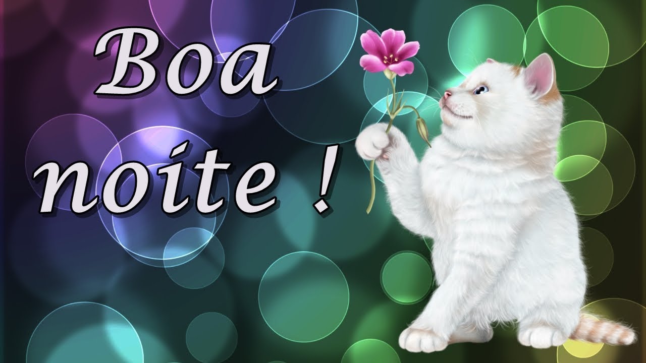 Os melhores Gifs de boa noite para WhatsApp e Facebook 