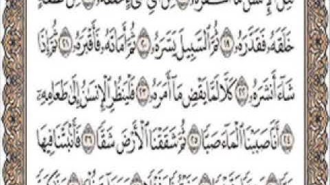 سورة عبس الجزء الثالث مكررة من آية 19 الى 26
