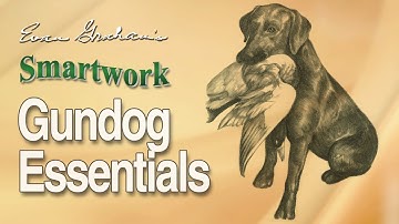 Smartwork: Field-Proven Gun Dog Training!