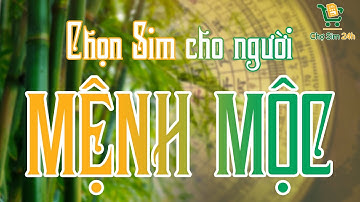 Hướng Dẫn Cách Chọn Sim Hợp Mệnh Mộc | Chợ sim 24h