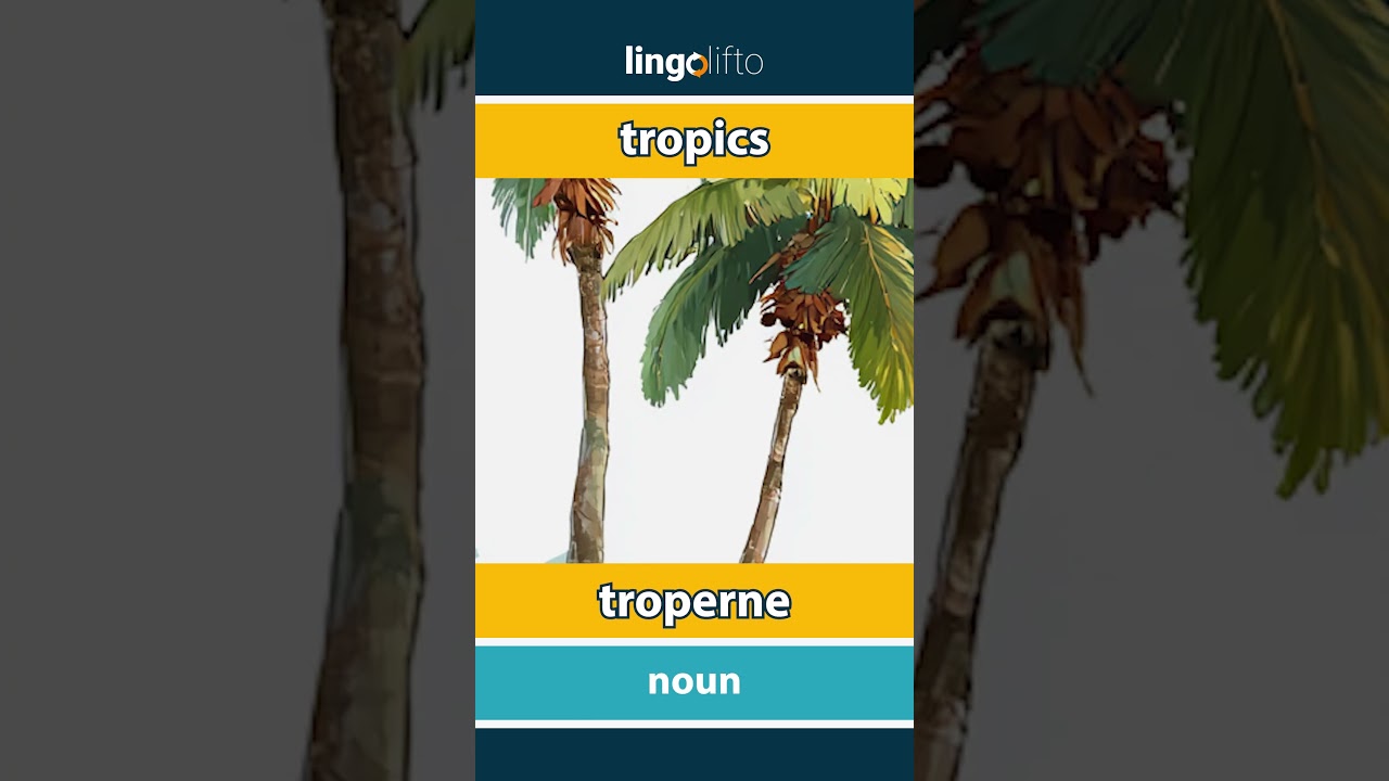🇬🇧🇩🇰 tropics - troperne : learn English : Lad os lære engelsk : vocabulary builder