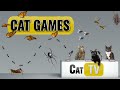 Cat games  ultimate cat tv bugs and butterflies compilation vol 2 s for cats to watch