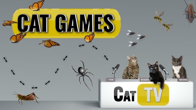CAT GAMES - Catching Mice! Entertainment Video for Cats to Watch