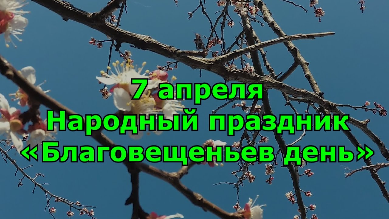 Благовещение что можно и нельзя делать приметы. Народные приметы на Благовещение. Приметы на Благовещение 7 апреля. Праздник Благовещение приметы. Приметы на Благовещение на погоду народные.