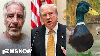 Epstein scandal DRAGS Trump approval as GOP revolts & eyes plans after 'lame duck' Trump is GONE