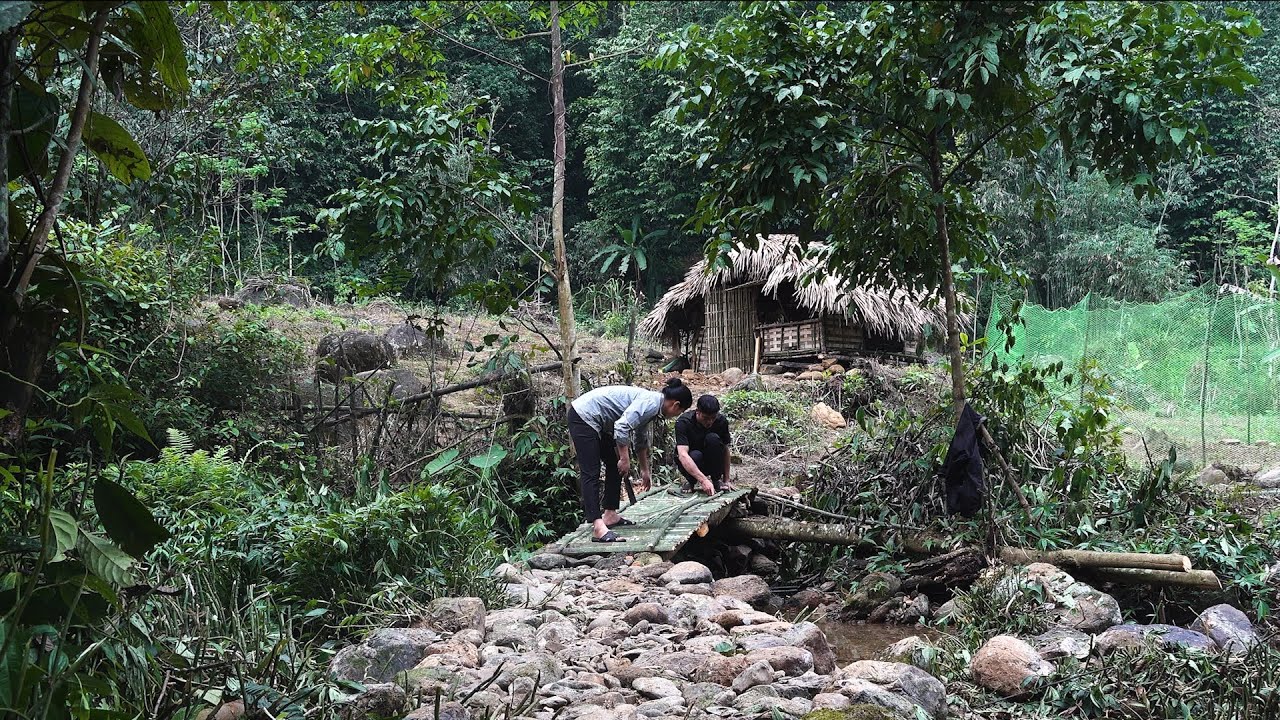 Build bridges and roads to cross the stream | Episode 22 | Six months of survival with my girlfriend